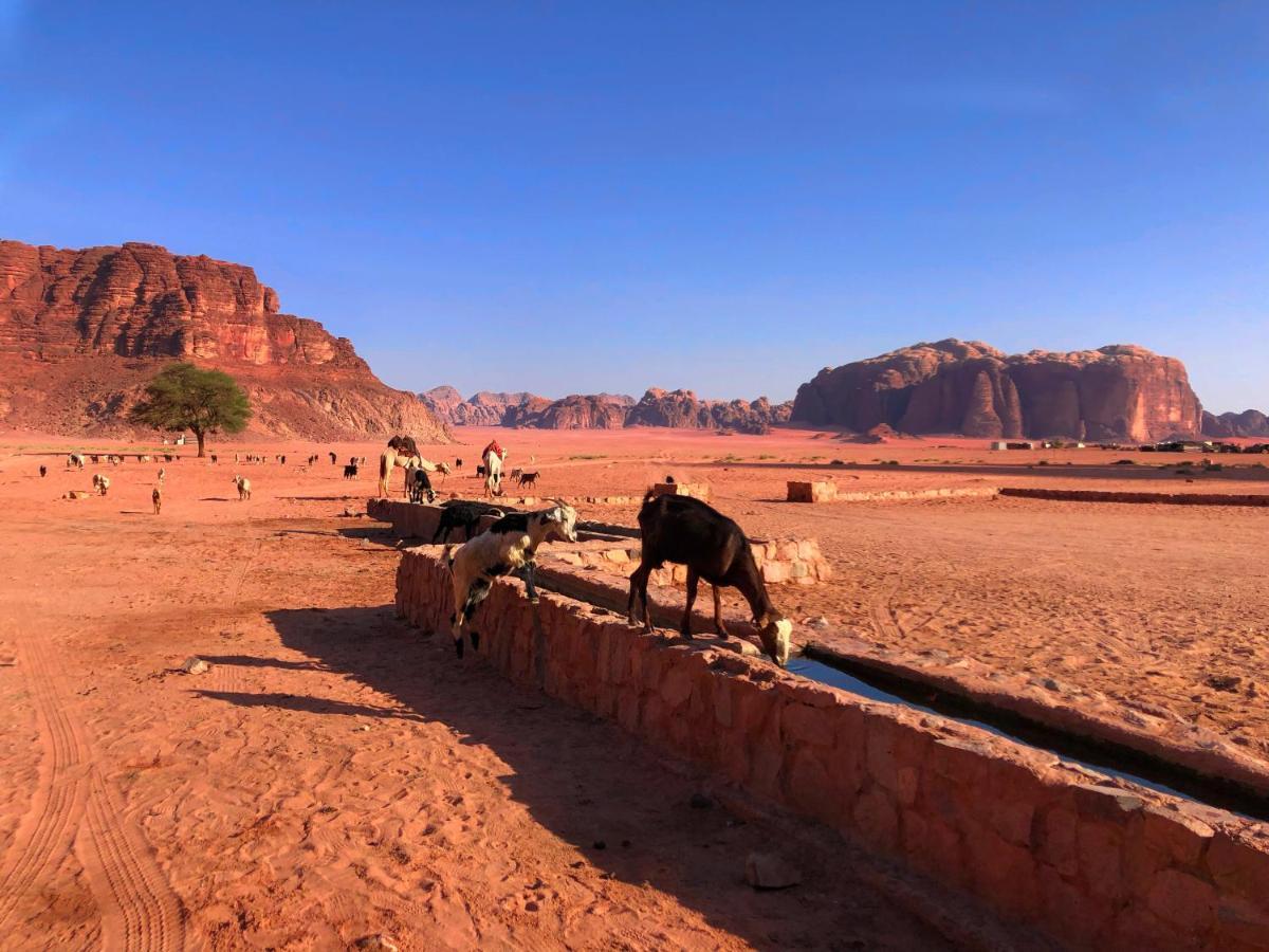 Milky Way Bedouin Camp Βίλα Ουάντι Ραμ Εξωτερικό φωτογραφία